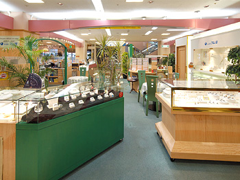 ジュエルフジミ アルザ泉大津店